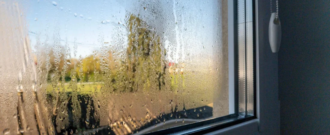 Condensation on Windows in the Morning: Why It Happens Overnight and When It’s Normal