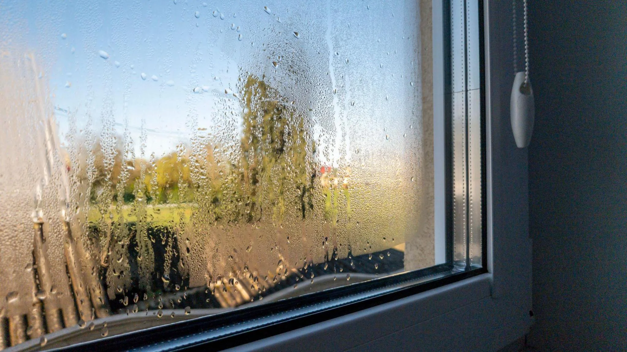 Condensation on Windows in the Morning: Why It Happens Overnight and When It’s Normal