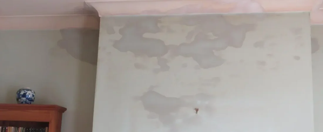 Why Walls Feel Damp Without Leaks: Hidden Moisture, Condensation, and Indoor Humidity Explained