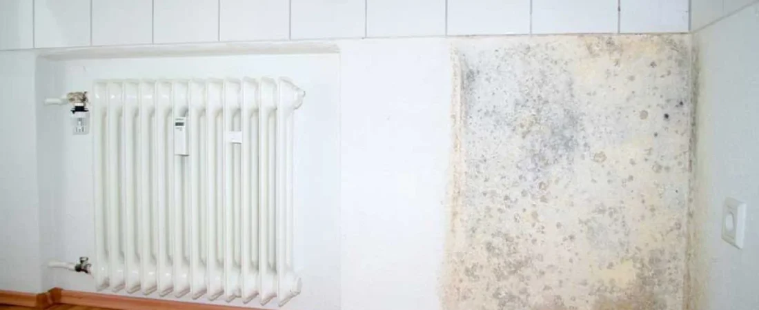 Why Walls Feel Damp in Winter: Causes, Condensation, and Seasonal Moisture Explained