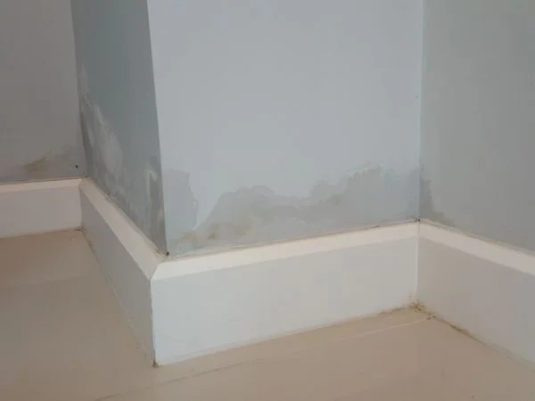 Damp Walls vs Condensation: What’s the Difference and Why It Matters