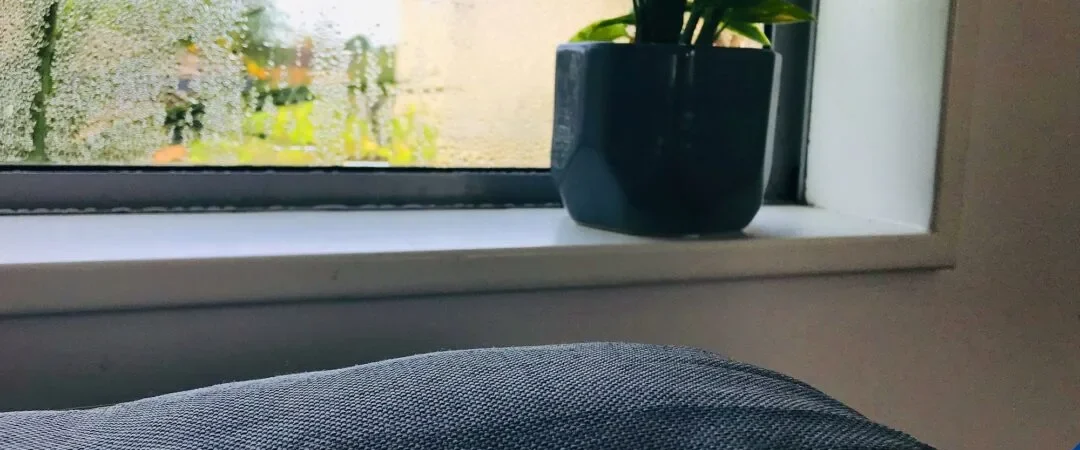 High Indoor Humidity Symptoms: How to Spot the Signs and What They Mean