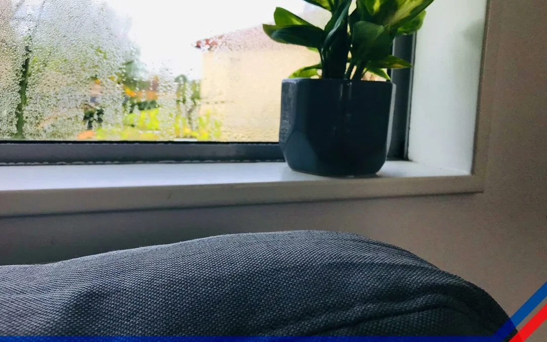 High Indoor Humidity Symptoms: How to Spot the Signs and What They Mean