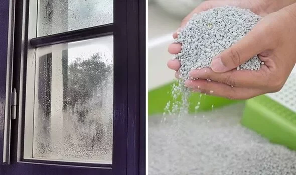 How to Reduce Condensation Indoors: Practical Steps and Realistic Expectations