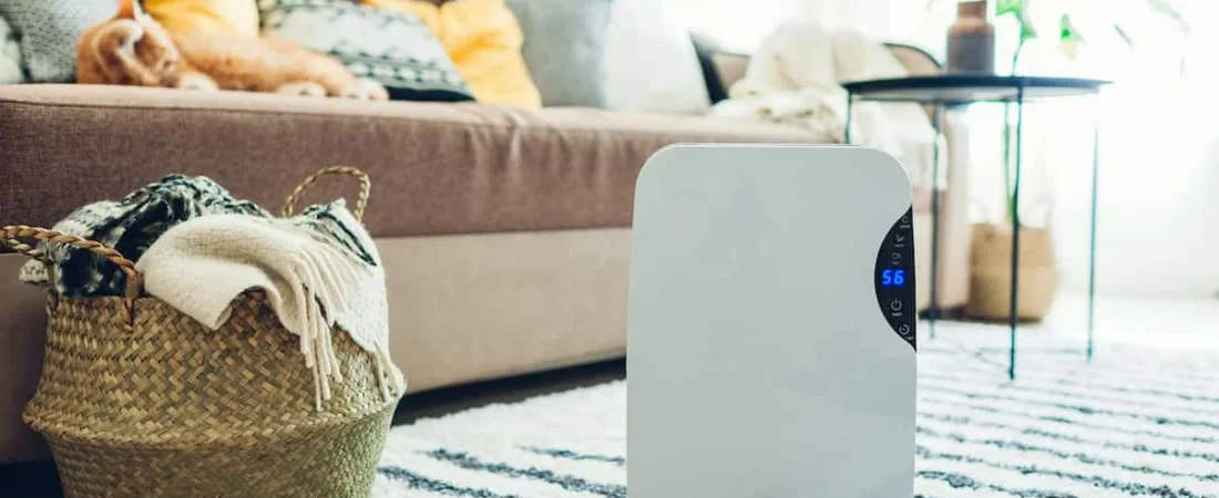 How to Reduce Indoor Humidity: Simple Ways to Keep Your Home Dry and Comfortable