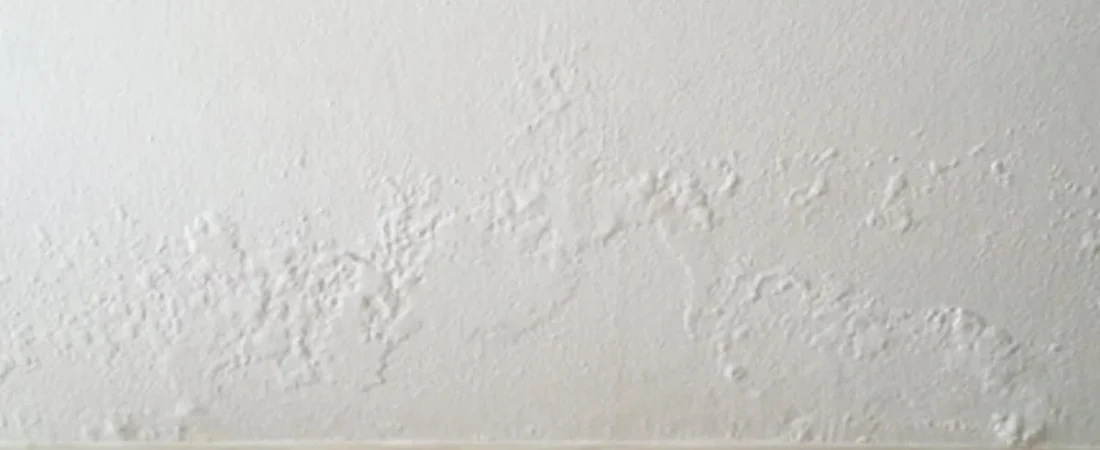 How to Tell If a Wall Is Damp