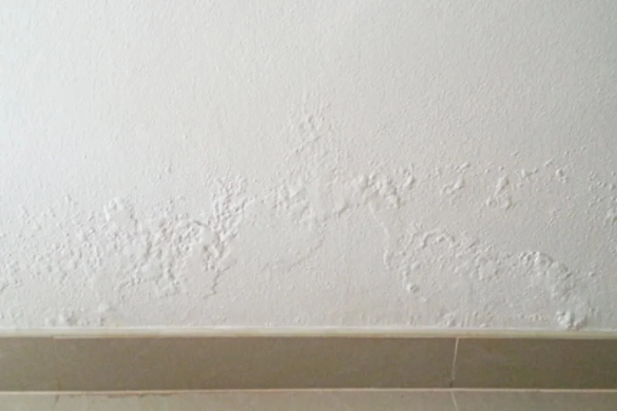 How to Tell If a Wall Is Damp