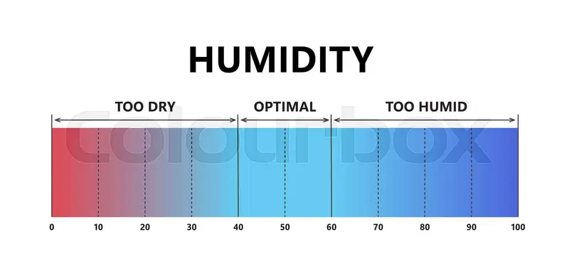 Low vs High Indoor Humidity: Key Differences, Effects and How to Balance It