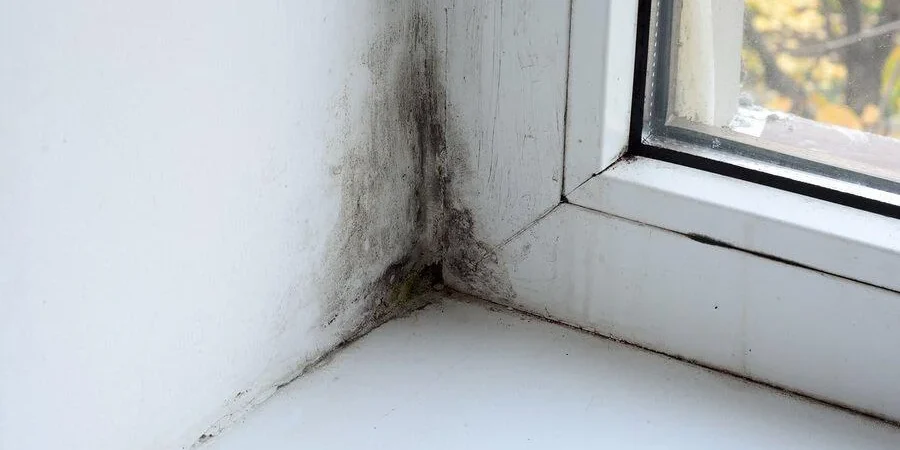 Mold Around Windows: Why It Happens, Hidden Causes and How to Prevent It