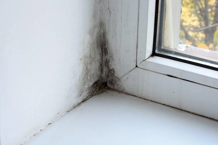 Mold Around Windows: Why It Happens, Hidden Causes and How to Prevent It