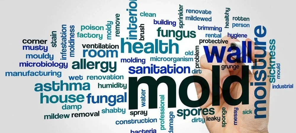 Mold Health Symptoms: Common Signs, Sensitivity Differences, and How Indoor Air Affects Your Body