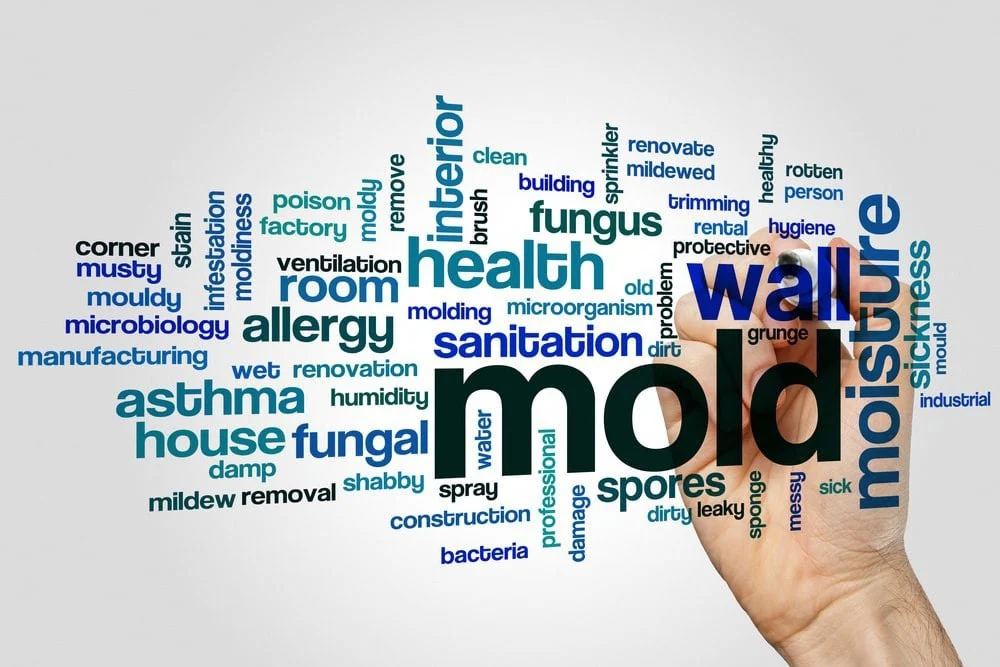 Mold Health Symptoms: Common Signs, Sensitivity Differences, and How Indoor Air Affects Your Body
