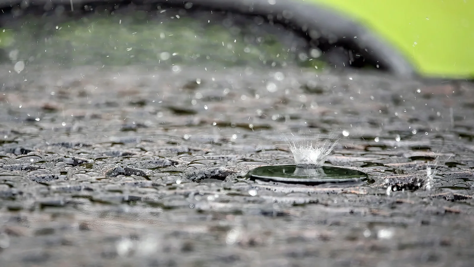 Mold Smell After Rain: Causes, Hidden Sources and How to Eliminate It