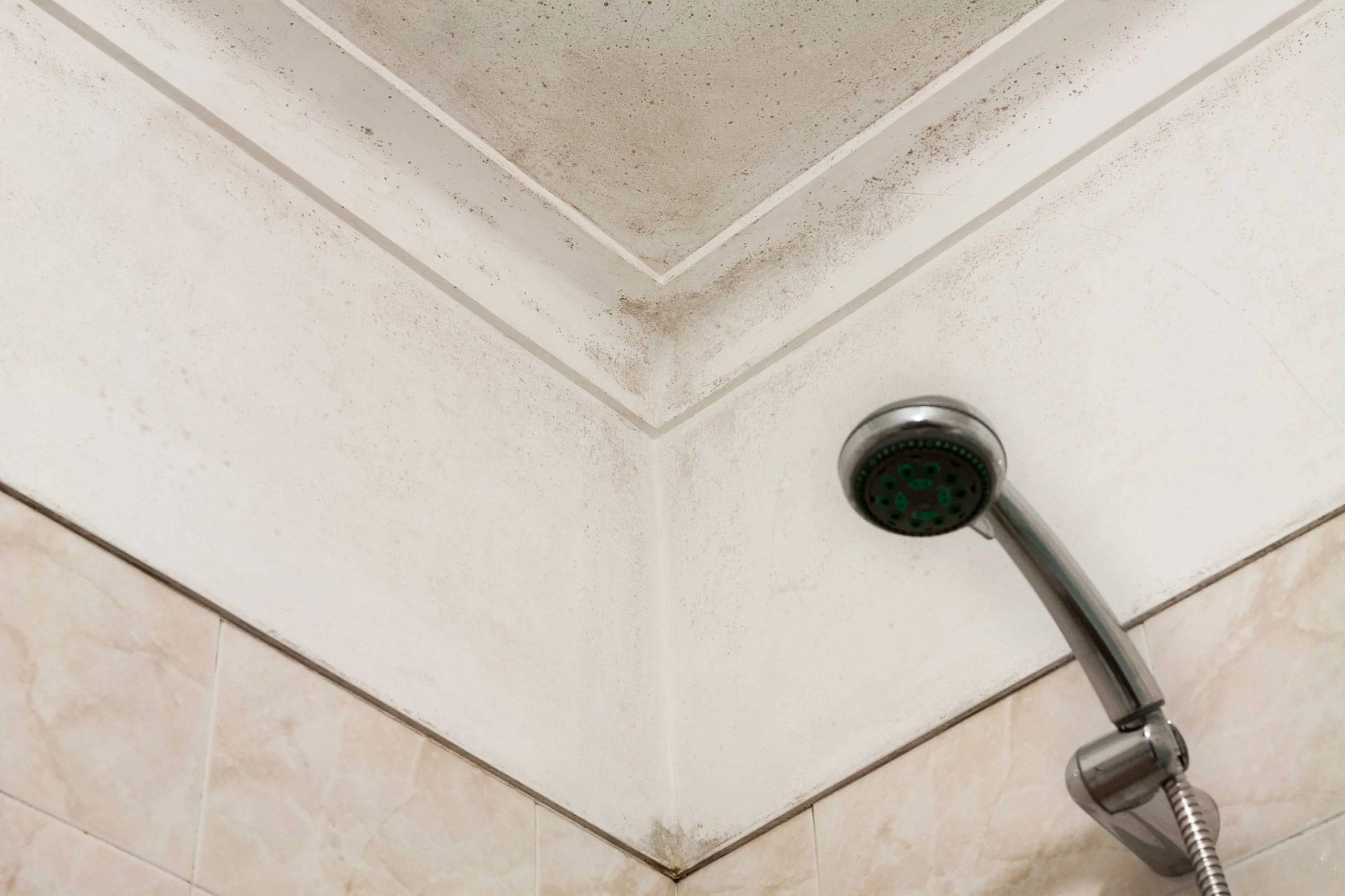 Why Mold Forms on Bathroom Ceilings — Rising Moisture, Slow Drying, and Hidden Condensation