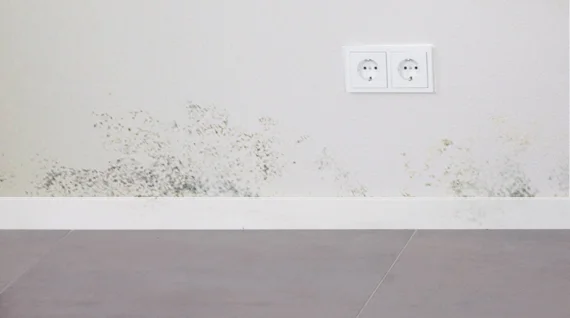 Why Mold Grows on Bedroom Walls and What It Means for Indoor Humidity