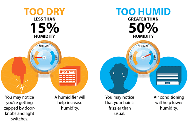 Normal Indoor Humidity Level for Apartments: The Complete Guide to Balanced Moisture