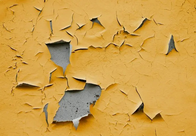 Why Paint Peels from Walls: How Moisture, Condensation, and Dampness Cause Flaking Indoors