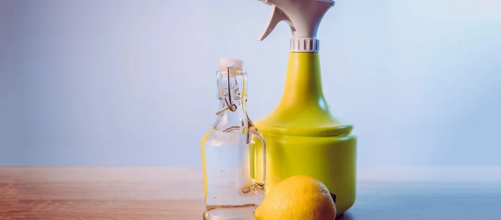 Preventing Mold Naturally: How to Control Moisture and Stop Mold Before It Starts