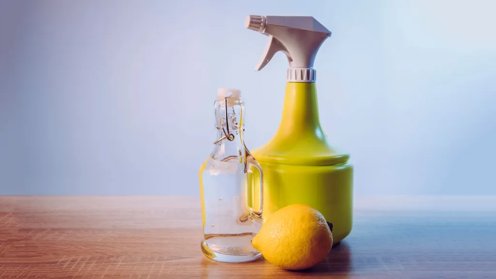 Preventing Mold Naturally: How to Control Moisture and Stop Mold Before It Starts