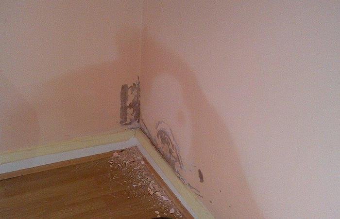 Why Are My Apartment Walls Wet? Causes, Condensation, and When to Worry