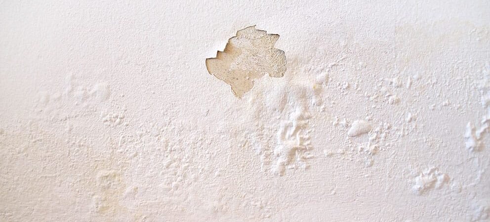 What Are Damp Walls? Causes, Signs and When to Be Concerned