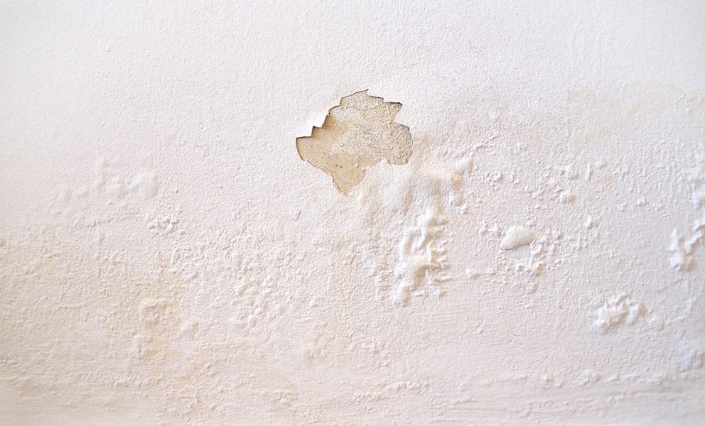 What Are Damp Walls? Causes, Signs and When to Be Concerned
