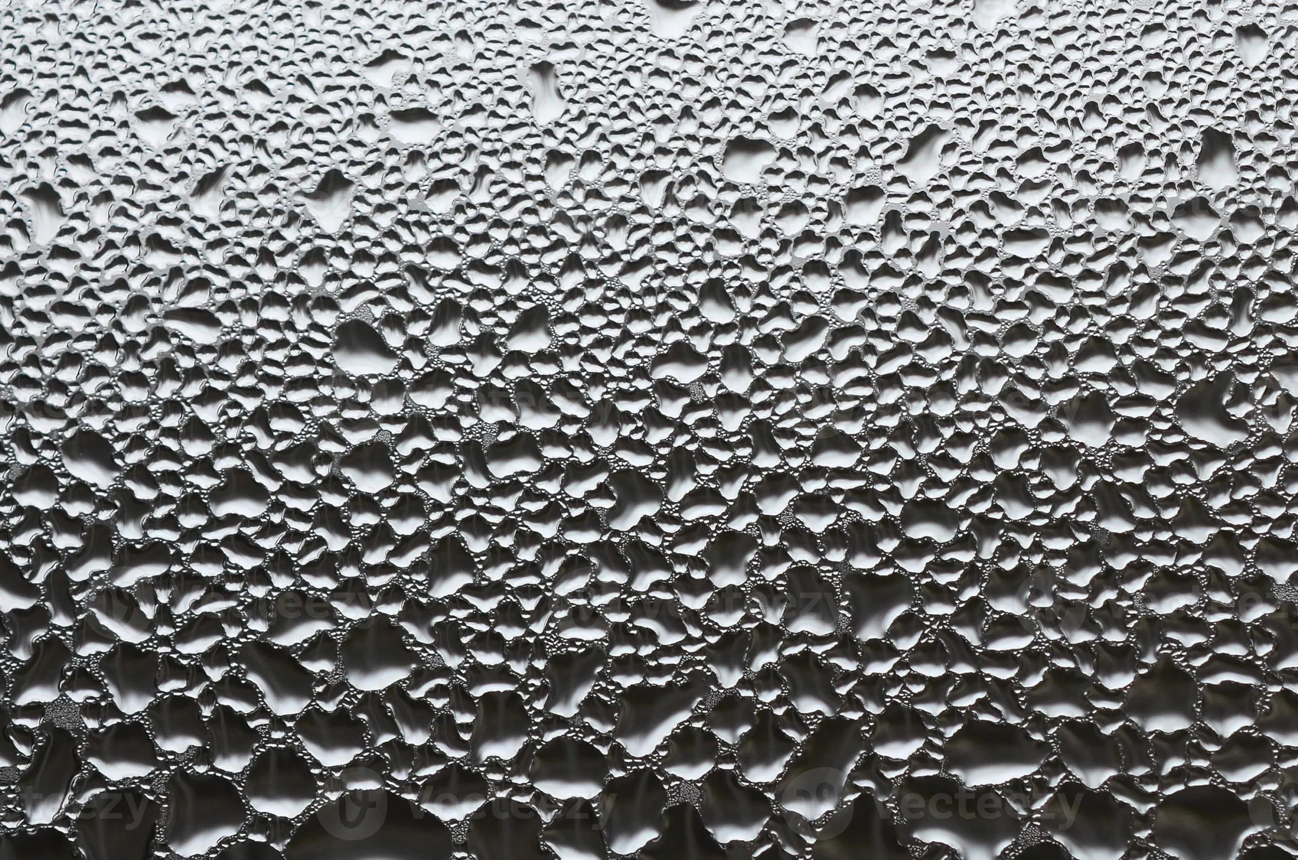 What Is Condensation in Apartments: Causes, Common Areas and Why It Happens