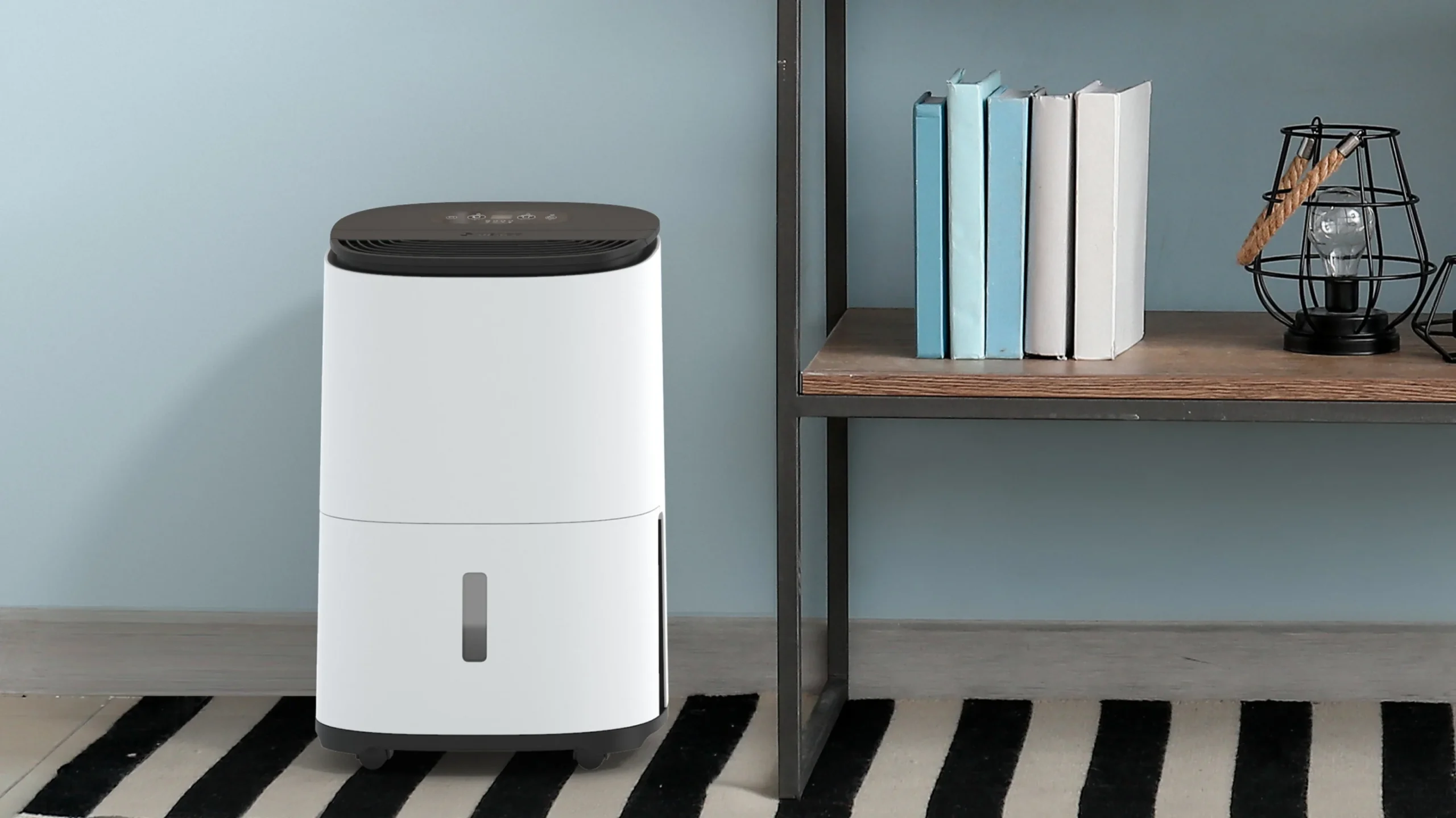 Where Is the Best Place to Put a Dehumidifier for Maximum Effectiveness?