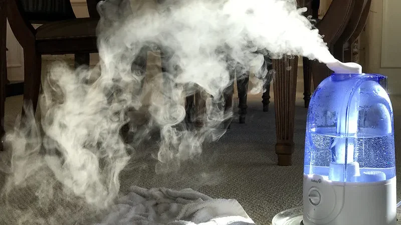 Hidden Indoor Humidity Problems: Common Causes, Signs and How to Fix Them