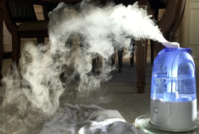 Hidden Indoor Humidity Problems: Common Causes, Signs and How to Fix Them