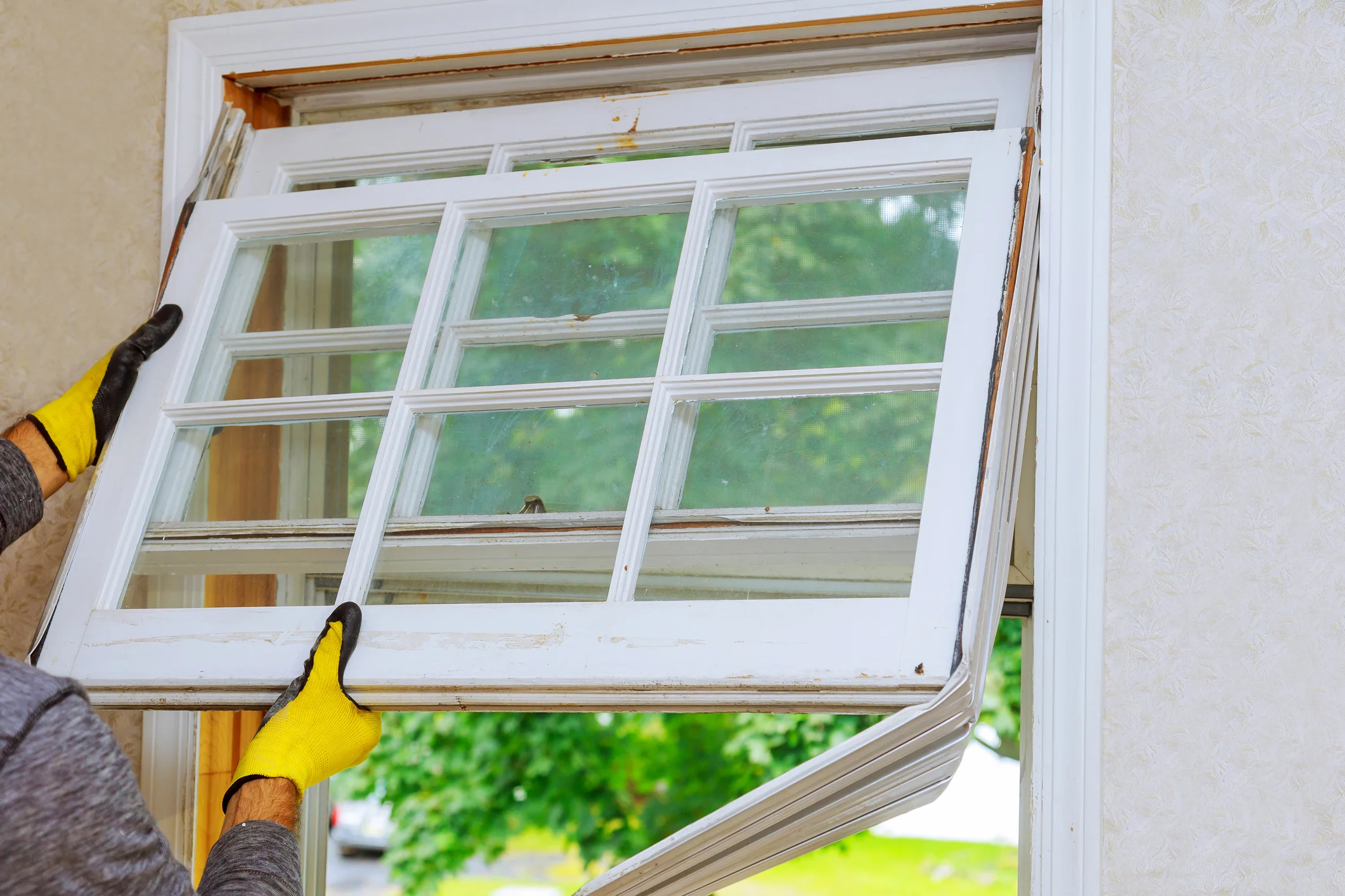 Mold After Replacing Windows: Why It Happens and How Sealed Homes Trap Moisture