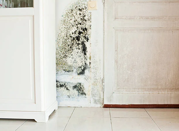 Mold Behind Furniture: Dew Point Science, Hidden Moisture and How to Stop It