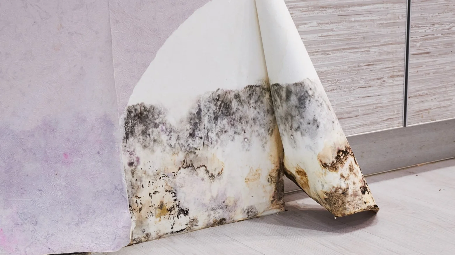Mold Under Wallpaper: Hidden Moisture, Warning Signs and How to Prevent It