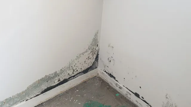 Mold in Corners of Rooms: Cold Walls, Poor Airflow and Hidden Condensation