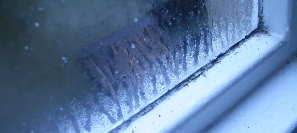 Condensation Without Visible Mold: The Silent Threat Hiding in Your Walls