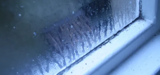 Condensation Without Visible Mold: The Silent Threat Hiding in Your Walls