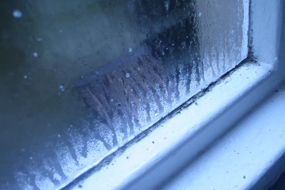 Condensation Without Visible Mold: The Silent Threat Hiding in Your Walls