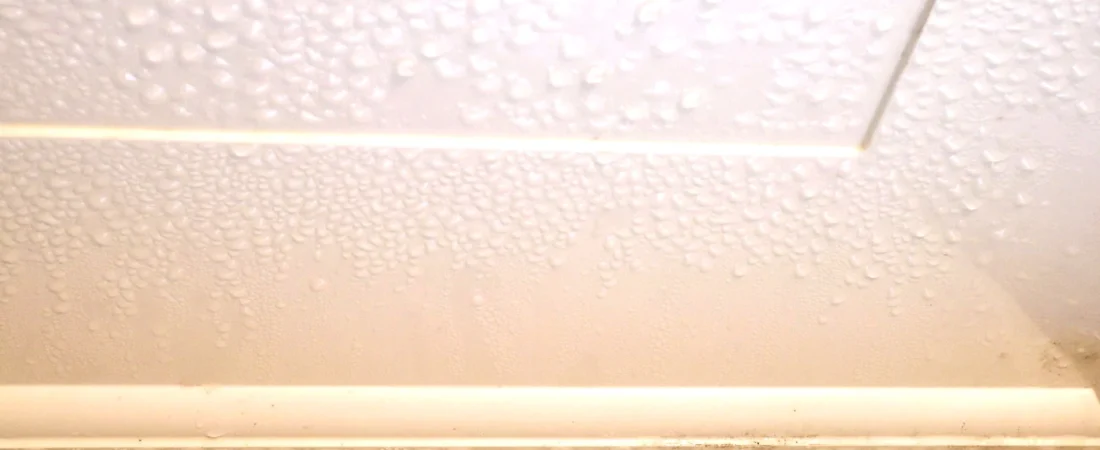 Damp Walls Near Ceiling: Causes, Risks, and Permanent Solutions