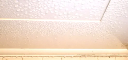 Damp Walls Near Ceiling: Causes, Risks, and Permanent Solutions