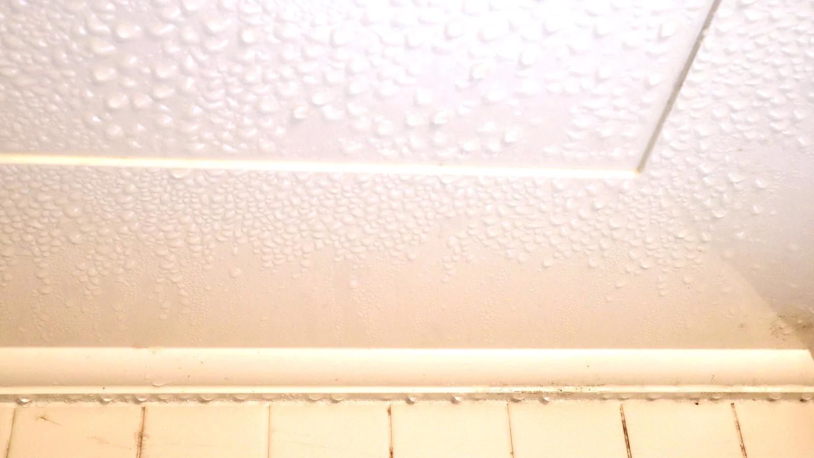 Damp Walls Near Ceiling: Causes, Risks, and Permanent Solutions