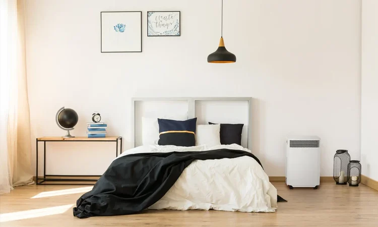 Do Air Purifiers Actually Remove Mold Spores? Yes, But They Can’t Fix Your Mold Problem