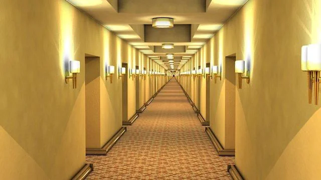 Hallway Smells Damp: Causes, Hidden Moisture Sources, and Why It Spreads