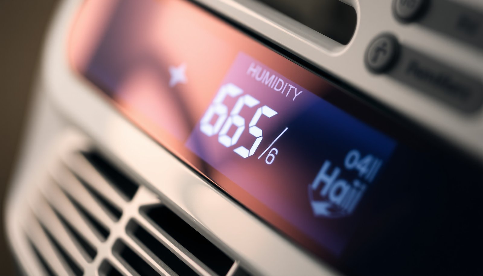 when to start using a dehumidifier in spring close-up view
