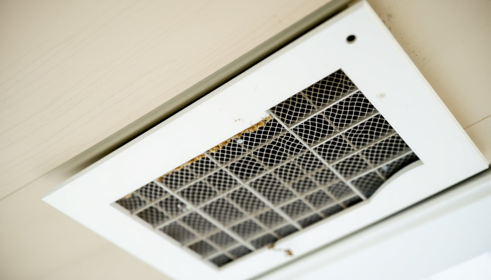 attic fans vs soffit vents humidity close-up view