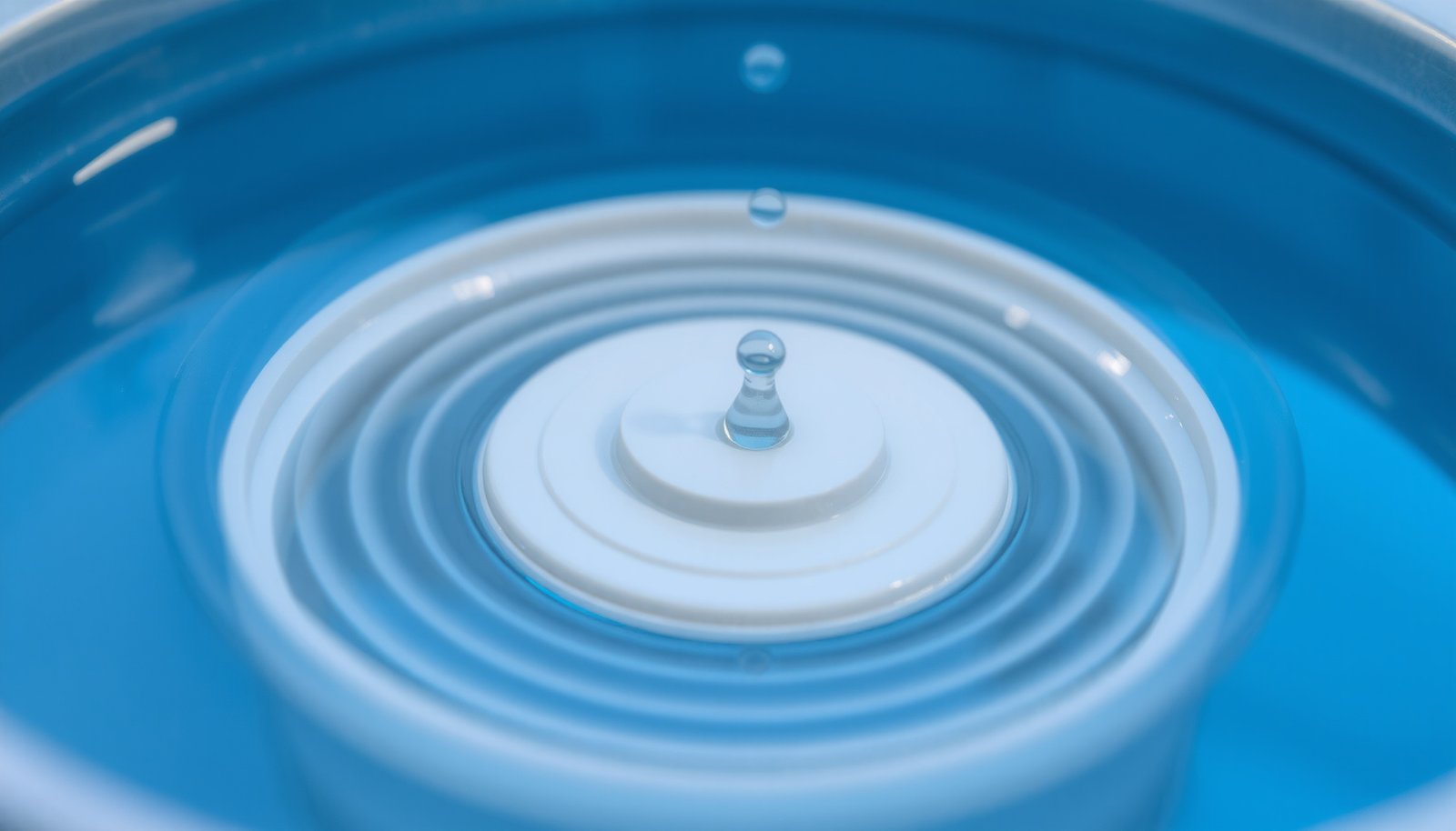 best humidifiers compared close-up view