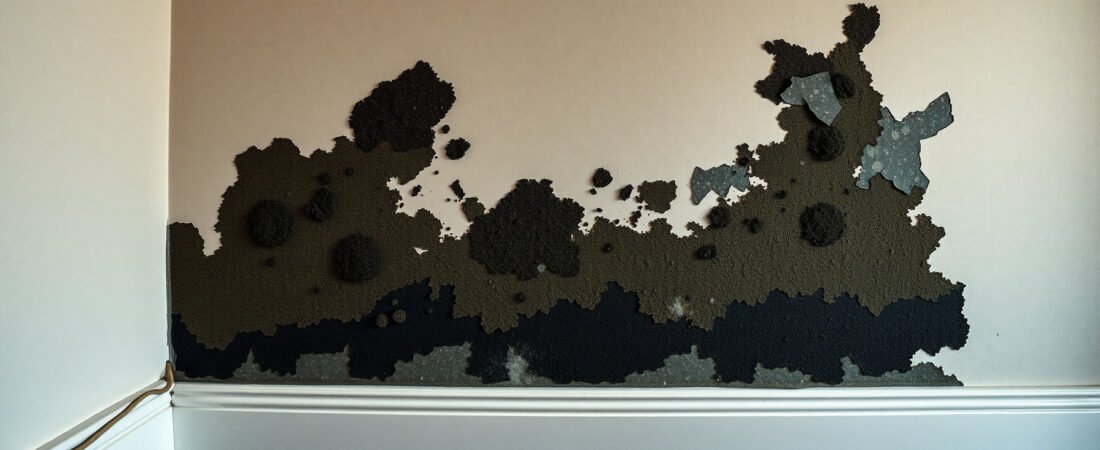Is All Black Mold Dangerous or Is That a Myth? What Experts Actually Say