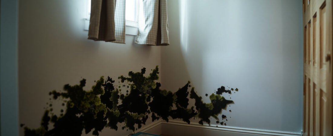Kids Getting Sick Repeatedly: Could Household Mold Be the Cause?